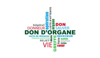 Don d&rsquo;organes et moelle